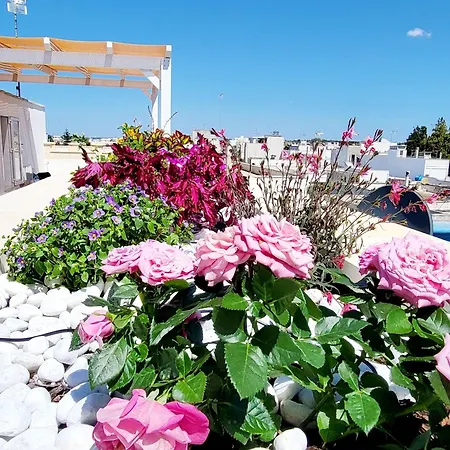 Aquamarina Porto Cesareo